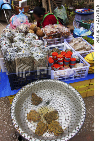 ルアンパバーンの市場 22258856