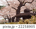 灯篭　桜山公園　鹿角 22258905
