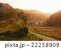 夕焼け　農村　田んぼ 22258909