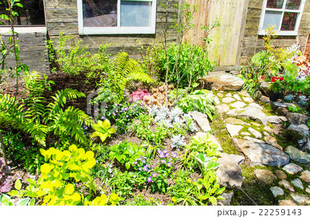 ガーデニング　 22259143