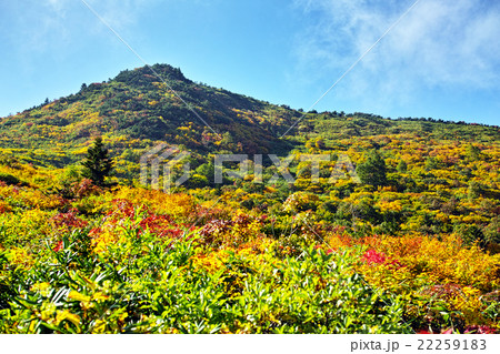 秋の蓬莱山 紅葉の写真素材