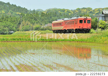 小谷松の田んぼを走るキハ 22259273