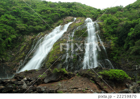 屋久島 大川の滝(おおこのたき)くもり 屋久島 大川の滝(おおこのたき)くもり 22259870