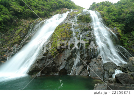 屋久島 大川の滝(おおこのたき)くもり 屋久島 大川の滝(おおこのたき)くもり 22259872