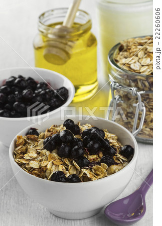 Breakfast: granola, yogurt, honey, blueberry Breakfast: granola, yogurt, honey, blueberry 22260606