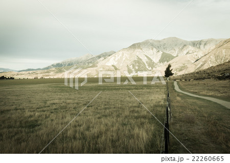 Castle hill, New Zealand 22260665