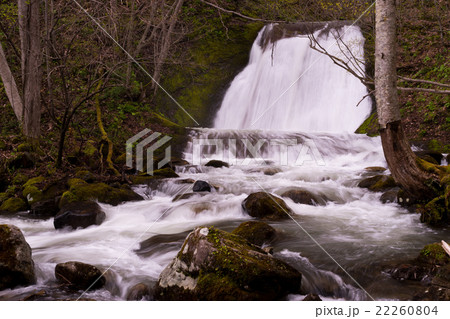 乙女の滝 22260804