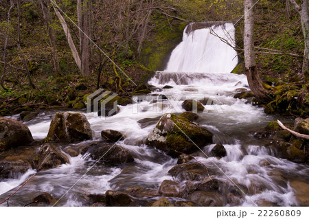 乙女の滝 22260809