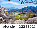 飯山城址公園 22263013
