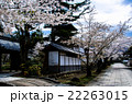 普願寺の桜 22263015