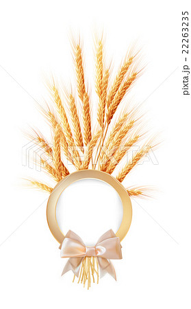 Ears of wheat with place for text. EPS 10 22263235
