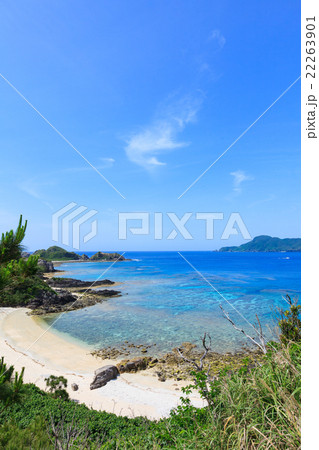 ヒズシビーチ　阿嘉島 22263901