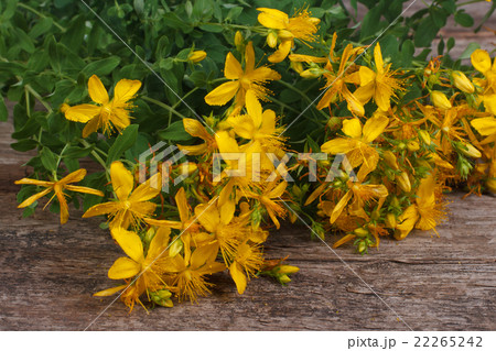 fresh yellow flowers Hypericum on the old table 22265242