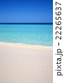 Caribbean sea beach  22265637