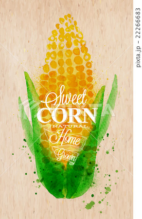 Corn watercolor poster Corn watercolor poster 22266683