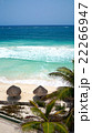 Palm umbrellas sea 22266947