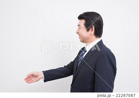 ミドルのビジネスマン(握手) ミドルのビジネスマン(握手) 22267087