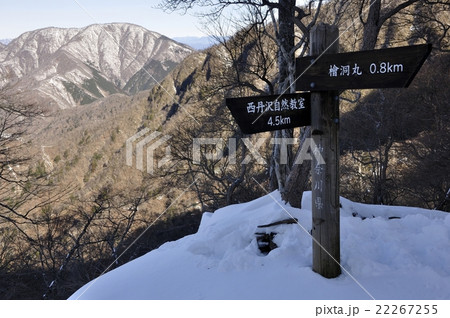 冬の大室山とつつじ新道の道標 22267255