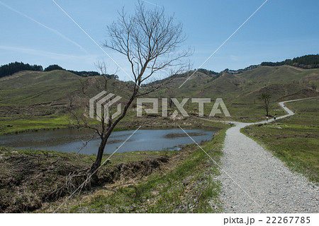 砥峰高原　砂利道（兵庫県神崎郡神河町） 22267785