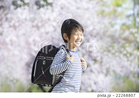 桜と新学期の男の子 桜と新学期の男の子 22268807