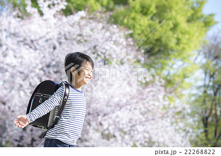 桜と新学期の男の子 22268822