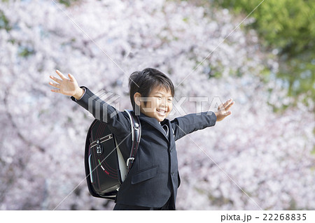 桜と新学期の男の子 22268835