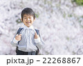 桜と新学期の男の子 22268867