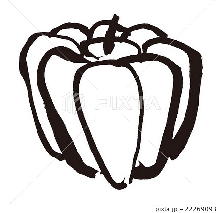 かぼちゃ 22269093