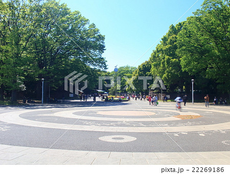 休日の代々木公園の入口(原宿門)の風景写真 休日の代々木公園の入口(原宿門)の風景写真 22269186