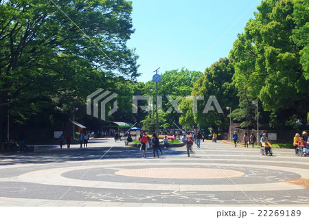 休日の代々木公園の入口（原宿門）の風景写真 22269189