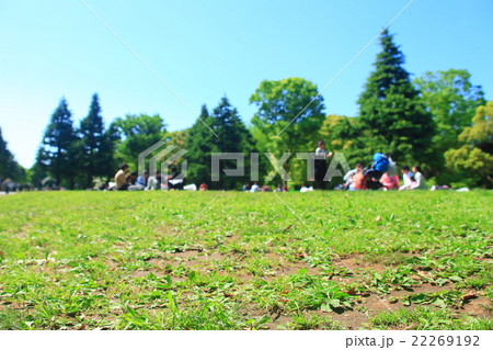 休日の代々木公園の緑地の風景写真 22269192