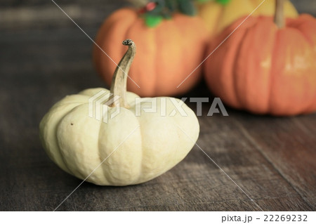 Fancy pumpkins white and orange 22269232