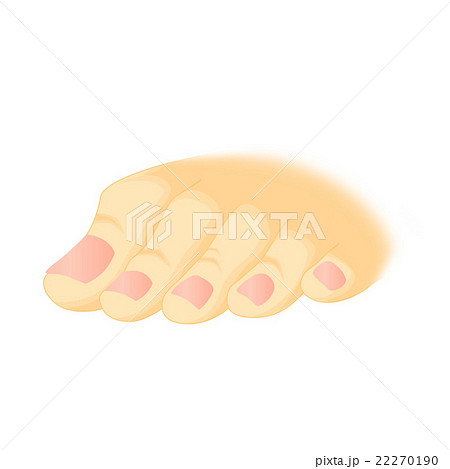 女性の足 22270190