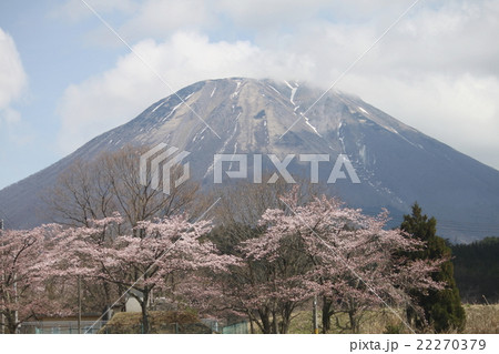 大山 22270379