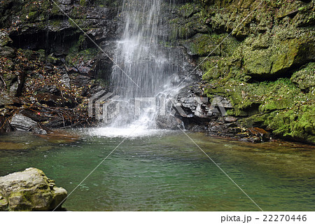 祖谷 琵琶の滝 祖谷 琵琶の滝 22270446