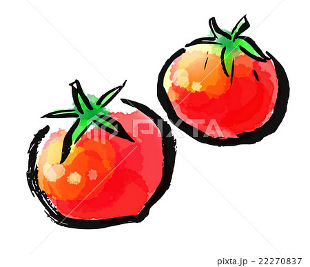 筆描き 野菜 トマトのイラスト素材