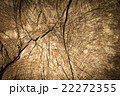 Brown wood texture 22272355