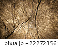 Old wood background 22272356