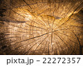natural wood background 22272357