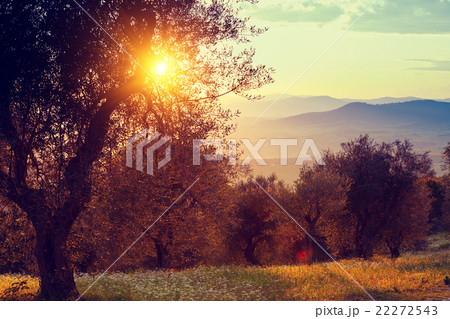 Sunset in the mountains. 22272543