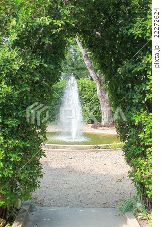 wall of green tree and fountain in the park wall of green tree and fountain in the park 22272624