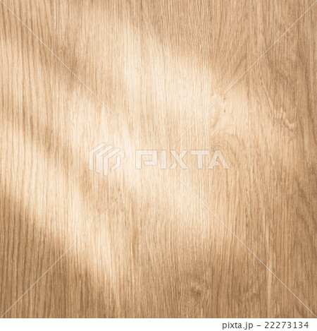 wood texture with natural light wood texture with natural light 22273134