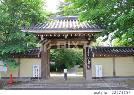 世田谷　妙寿寺 22273157