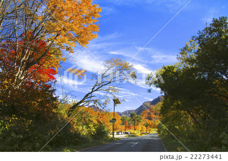 秋の磐梯山ゴールドライン 22273441