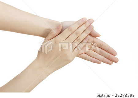 女性の手                 女性の手                 22273598