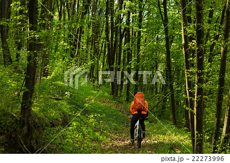 Cyclist Riding the Bike on a Trail in Summer 22273996