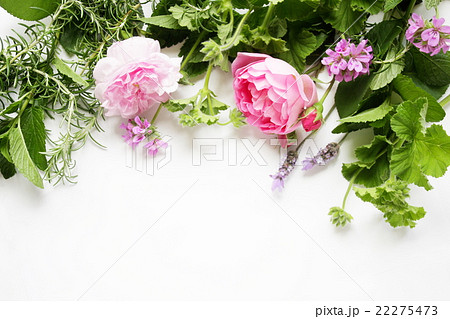 アロマイメージの薔薇とハーブ アロマイメージの薔薇とハーブ 22275473