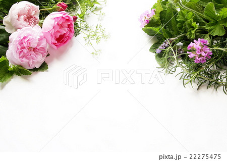 アロマイメージの薔薇とハーブ 22275475