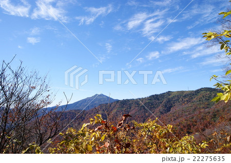 キリンテからの登山道から燧ケ岳を眺める キリンテからの登山道から燧ケ岳を眺める 22275635