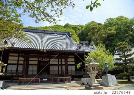 照蓮寺の本堂 22276543